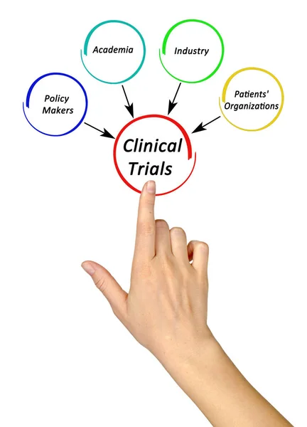 Four Stackeholders Clinical Trials — Stock Photo, Image