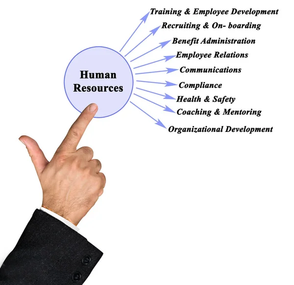 Fields Attention Human Resources — Stock Photo, Image