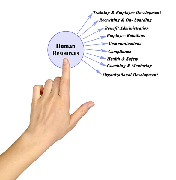 Fields Attention Human Resources — Stock Photo, Image