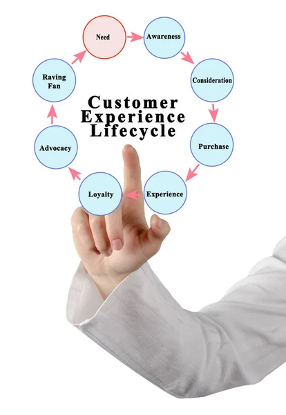 Components Customer Experience Lifecycle — Stock Photo, Image