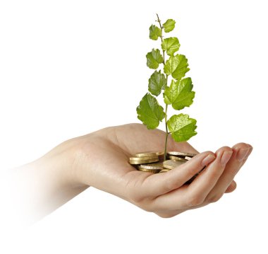 Yeşil ticarete yatırım yapan kadın