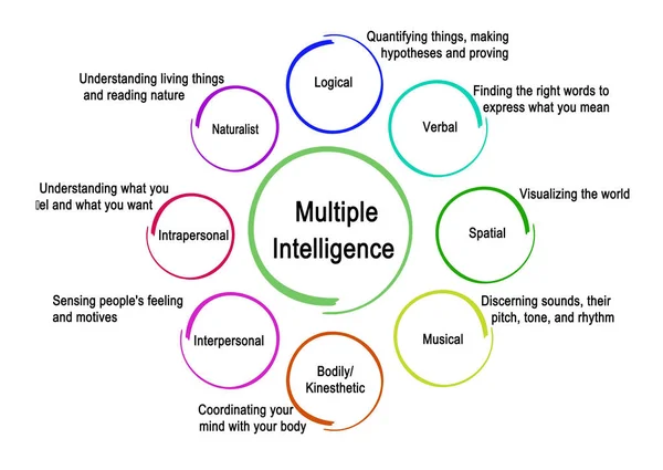 Ocho Tipos Inteligencia Múltiple — Foto de Stock