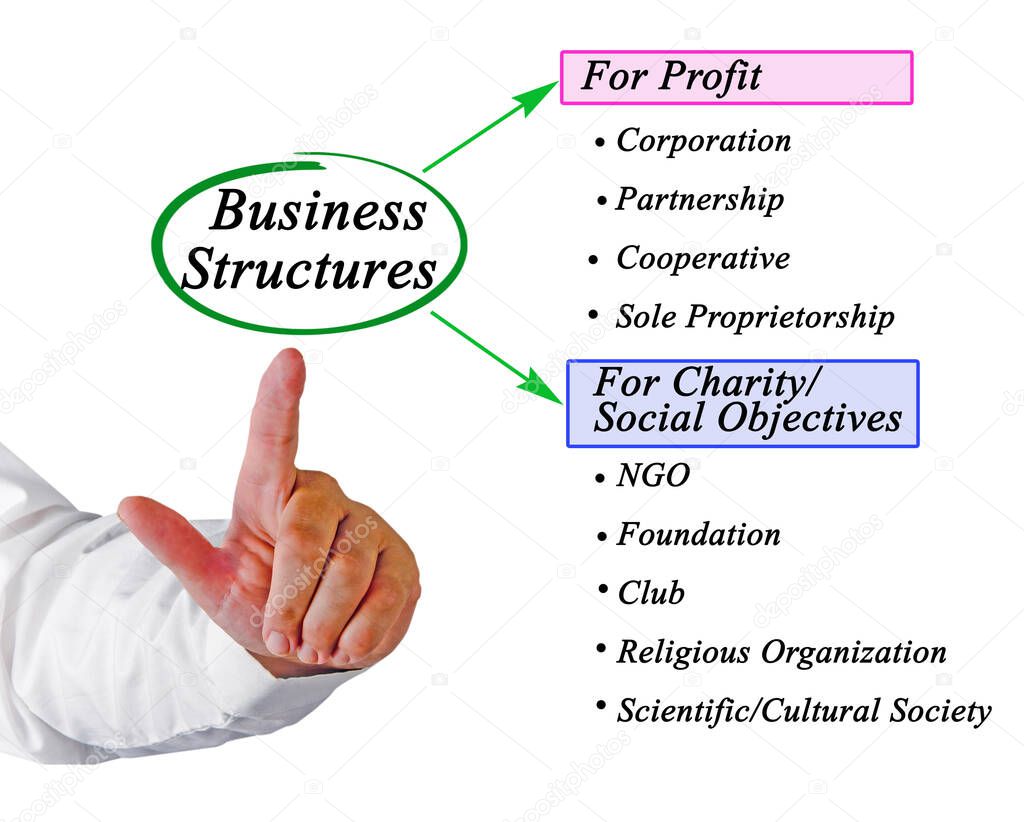 Profit and Non-profit Business Structures	