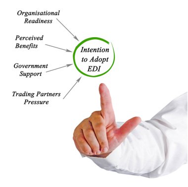 EDI 'nin benimsenmesine yol açan yardımlar