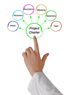 Proje Tüzüğünün altı bileşeni