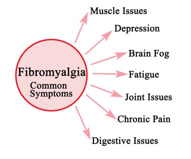 Fibromiyaljinin yedi yaygın belirtisi