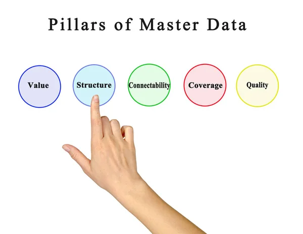 Five Pillars Master Data — Stock Photo, Image