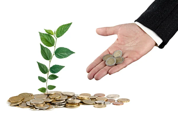 Man Invesing Money Environment — Stock Photo, Image