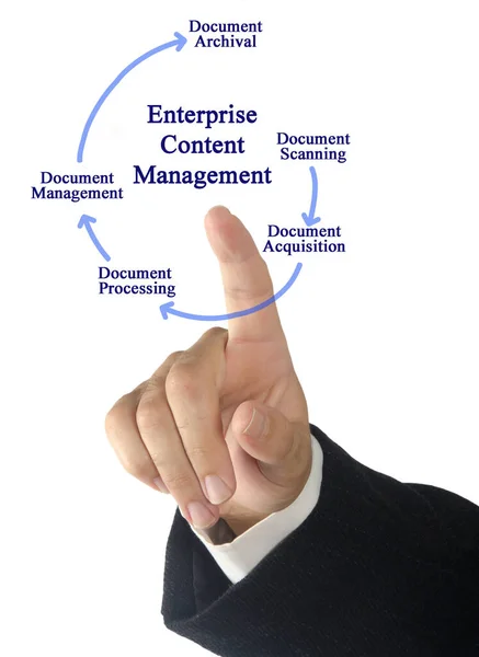 Komponenten Des Enterprise Content Management — Stockfoto