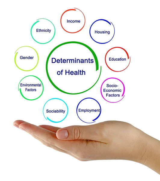 Nueve Determinantes Salud — Foto de Stock