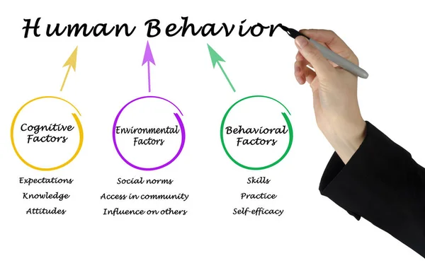 Three Determinants Human Behavior — Stock Photo, Image