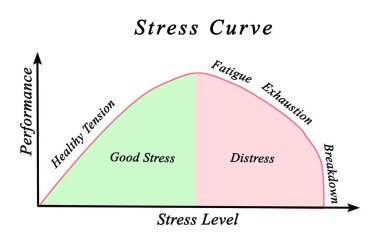 Performans ve stres grafiği