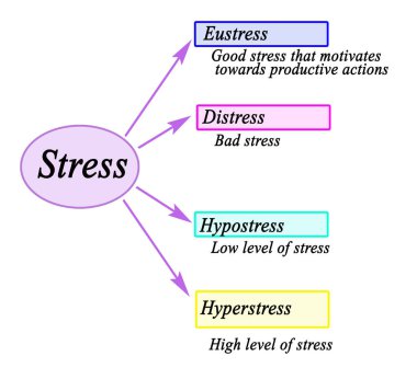 Dört çeşit stres.