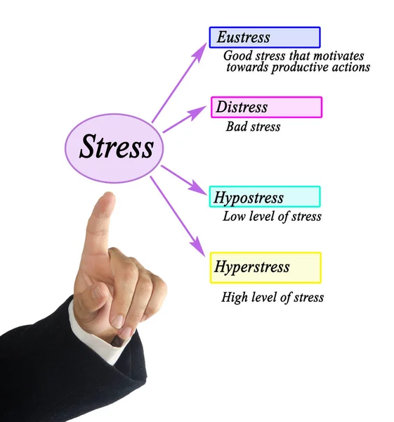 Presenting Four Kinds Stress — Stock Photo, Image