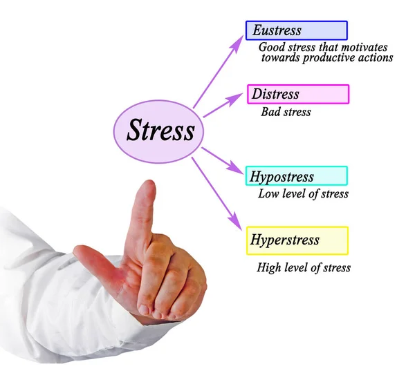 Presenting Four Kinds Stress — Stock Photo, Image