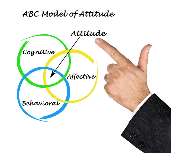 Presentación Del Modelo Abc Actitud — Foto de Stock