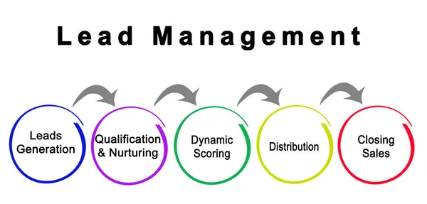 Five Components Lead Management — Stock Photo, Image