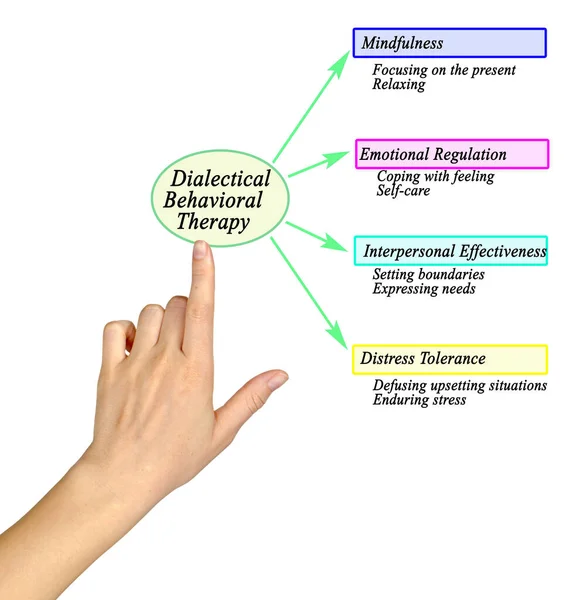 Components Dialectical Behavioral Therapy — Stock Photo, Image