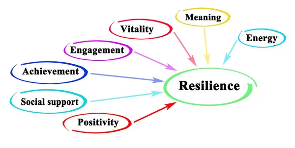 复原力的7个驱动因素 — 图库照片