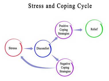 Stres ve Baş Etme Döngüsü 
