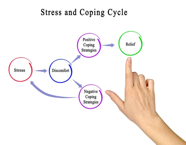 Presenting Stress Coping Cycle — Stock Photo, Image