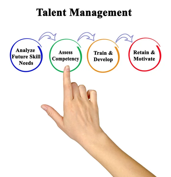 Vier Componenten Van Talent Management — Stockfoto