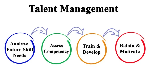 Vier Componenten Van Talent Management — Stockfoto