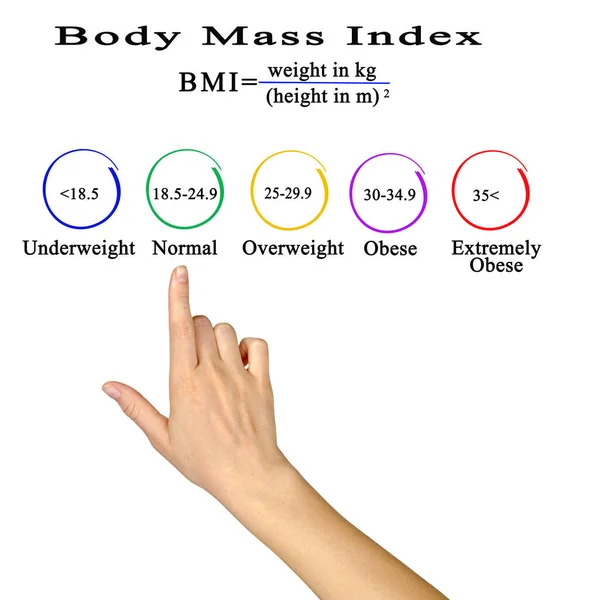 Δείκτης Μάζας Σώματος Υγιής Και Ανθυγιεινός — Φωτογραφία Αρχείου