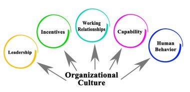 Organizasyon Kültürünün Beş Yüzü