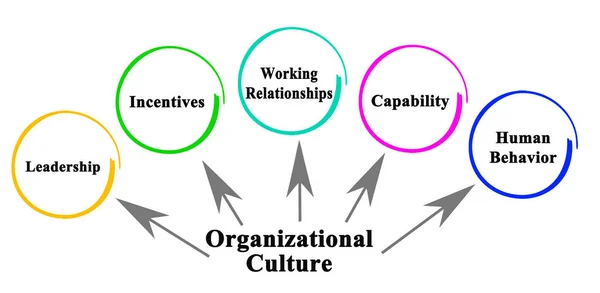 Five Facets Organizational Culture — Stock Photo, Image