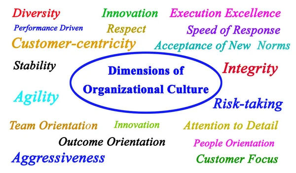 Nineteen Dimensions Organizational Culture — Stock Photo, Image