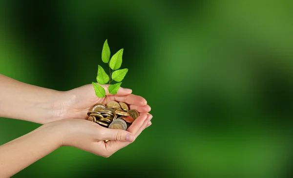 Investing to green business — Stock Photo, Image