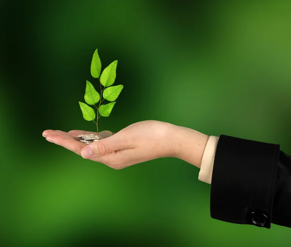 Investir dans les entreprises vertes — Photo