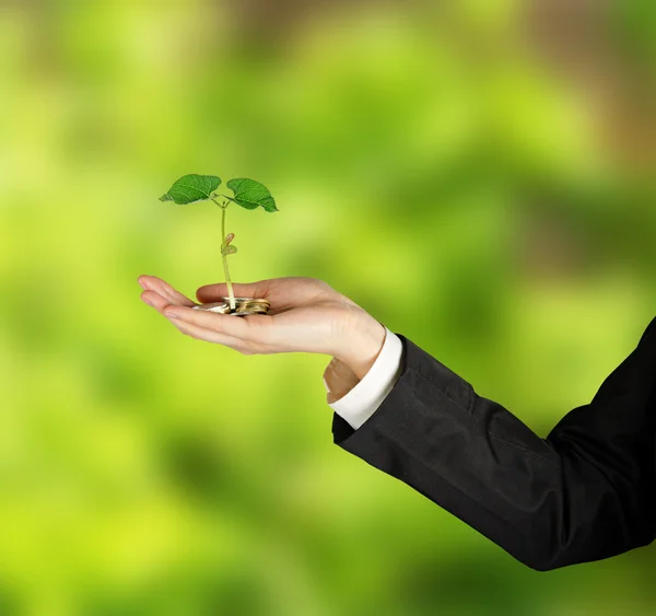 Investing to green business — Stock Photo, Image