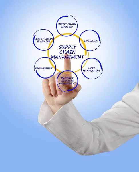 Gestione della supply chain — Foto Stock