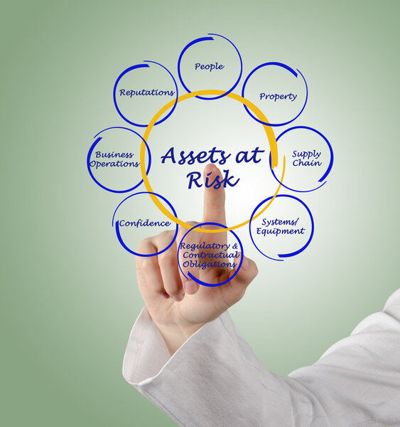 Assets at Risk