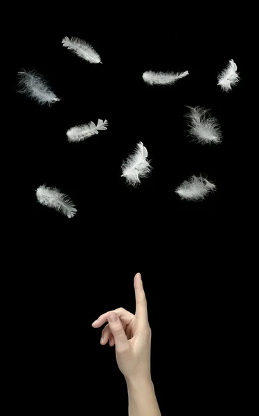 Primer plano de pluma blanca cayendo a mano — Foto de Stock