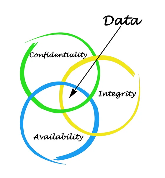 Princípios da gestão de dados — Fotografia de Stock