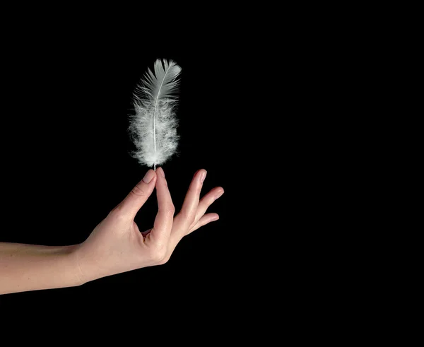 Primer plano de la pluma blanca en la mano — Foto de Stock