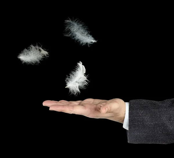 Close up of white feathers falling to hand — Stock Photo, Image