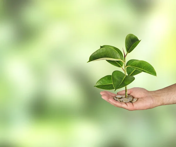 Invertir en empresas ecológicas —  Fotos de Stock