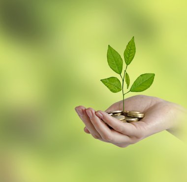 yeşil iş yatırım