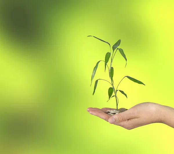 Invertir en empresas ecológicas — Foto de Stock