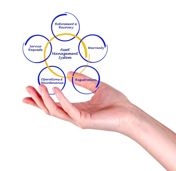 Sistema de gestión de activos —  Fotos de Stock