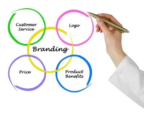 Branding diagram — Stockfoto