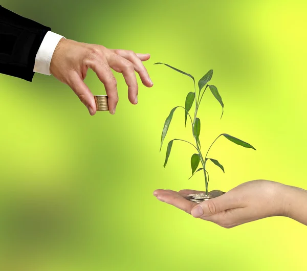 Investasi untuk bisnis hijau — Stok Foto