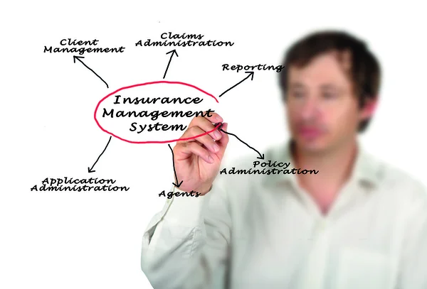 Systém pojištění řízení — Stock fotografie