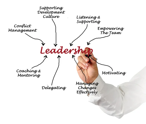 Schema di leadership — Foto Stock