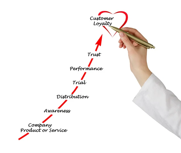 Loyalitätsdiagramm — Stockfoto