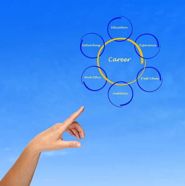 Diagram of career success — Stock Photo, Image